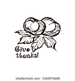 Thanksgiving hand drawn chestnuts with handwritten text isolated on white background. Inscription: Give thanks. Vector illustration