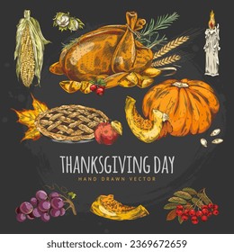 Thanksgiving hand drawn color sketch elements set on dark background. Holiday and autumn symbols collection. Vector illustration: roasted turkey, pie, corn, pumpkin, grape, candle, nuts, rowan.