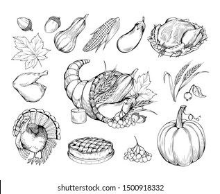 Thanksgiving hand drawn vector symbols set. Natural food, vegetables and traditional dishes sketch illustrations. Farmers market. Pumpkin, turkey cooked chicken and pie monochrome drawings pack