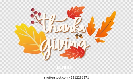 Thanksgiving handwriting calligraphy with frame leaf autumn, isolated on transparent background , illustration Vector EPS 10