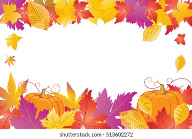 Thanksgiving Holiday background. Fall colorful leaves and pumpkin frame. Autumn maple tree leafs border. Vector illustration. Halloween. Anniversary, Promotion, Advertising, Holiday