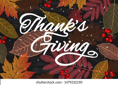 Thanksgiving holiday banner with congratulation text. Autumn tree leaves on chalkboard background. Autumnal design for fall season poster, thanksgiving greeting card, vector illustration