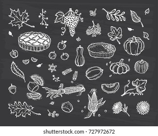 Thanksgiving icon Vector set. Food. Fruits, Vegetables and Berries. Autumn Harvest symbols. Hand Drawn Doodle Apple pie, Pumpkin pie, Pumpkins, Corn, Grapes, Chestnuts, Apples, Leaves, Flowers