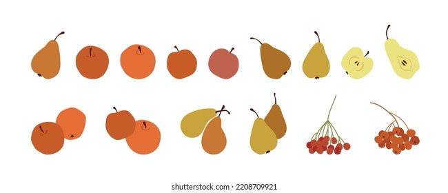 Thanksgiving illustration set. Fall harvest berries and fruits, apple and pear. Flat vector icons decorative elements Happy Thanks giving day food illustrations isolated on white background.