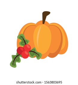 thanksgiving pumpkin with branch and leafs vector illustration design