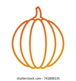 thanksgiving pumpkin dinner decoration celebration