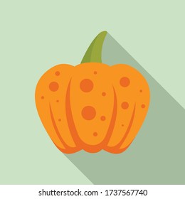 Thanksgiving pumpkin icon. Flat illustration of thanksgiving pumpkin vector icon for web design