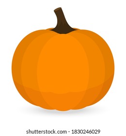 Thanksgiving pumpkin isolated on white background icon