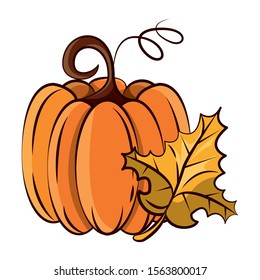 thanksgiving pumpkin with leaf autumn vector illustration design