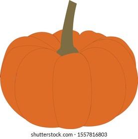 Thanksgiving Pumpkin vector made with adobe illustrator EPS10