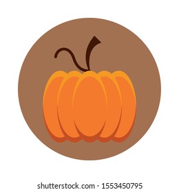 thanksgiving pumpkin vegetable isolated icon vector illustration design