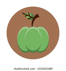 thanksgiving pumpkin vegetable isolated icon vector illustration design