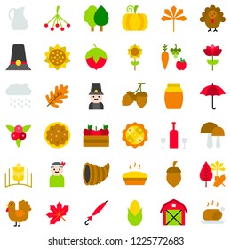 thanksgiving related icon set in design. such as turkey, pumpkin pie, autumn leaves, acorn, pillgrim, berries,honey and farming product.flat design.