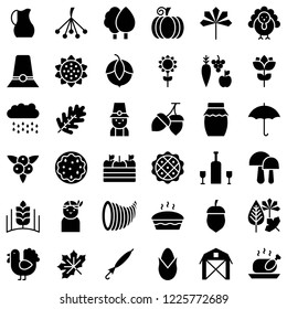 thanksgiving related icon set in design. such as turkey, pumpkin pie, autumn leaves, acorn, pillgrim, berries,honey and farming product. solid design