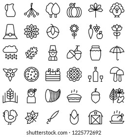 thanksgiving related icon set in design. such as turkey, pumpkin pie, autumn leaves, acorn, pillgrim, berries,honey and farming product. outline design