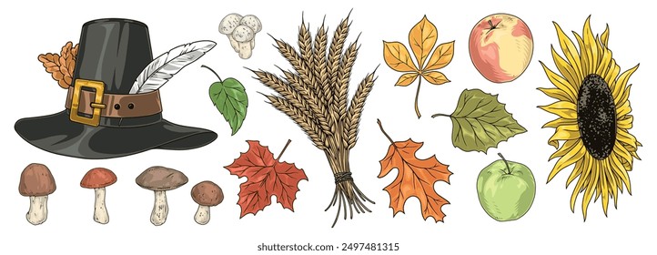 Thanksgiving set emblems colorful with mushrooms and wheat ears near pilgrim hat and autumn petals vector illustration