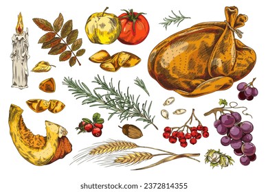 Thanksgiving symbols hand drawn vector illustrations set on white background. Autumn seasonal decoration elements. Vintage color sketch of roasted turkey, candle, leaves, herbs, berries, vegetables.