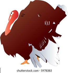Thanksgiving Turkey