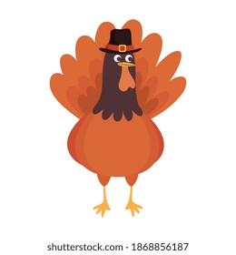 thanksgiving turkey animal with pilgrim hat vector illustration design