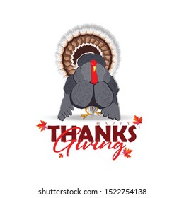 Thanksgiving with turkey bird and pumpkins on nature landscape background.