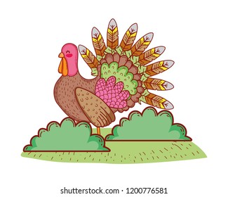 Thanksgiving turkey cartoon
