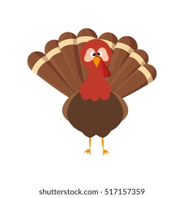 Thanksgiving turkey character icon