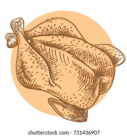 Thanksgiving turkey  Chicken meat  Hand drawn sketch fried hen  Linear sketch the roasted chicken  turkey