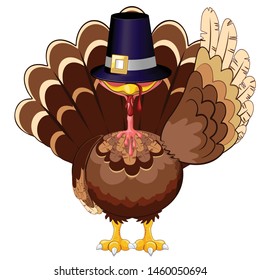 Thanksgiving Turkey Funny Cartoon Character Vector Illustration
