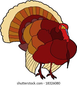 Thanksgiving Turkey Illustration