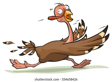 Thanksgiving turkey runs. Illustration in vector format