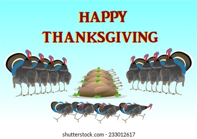 Thanksgiving Turkeys