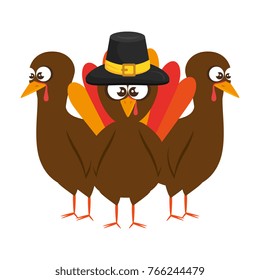 thanksgiving turkeys with hat character icon