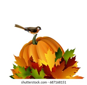 Thanksgiving vector autumn composition