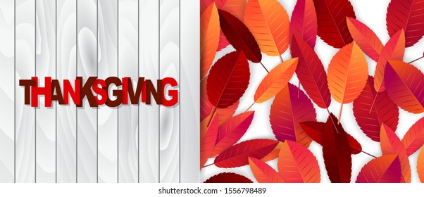 Thanksgiving website header or newsletter advertisement banner. Fall leaves on wooden rustic background. Traditional american holiday design concept. Vector illustration.