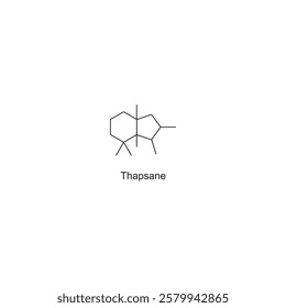 Thapsane skeletal structure.Diterpene compound schematic illustration. Simple diagram, chemical structure.