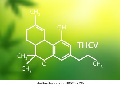 THCV Molecular Formula. Vector Illustration
