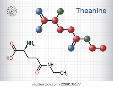 Theanine, theanin molecule. It is neuroprotective agent, plant metabolite, is found in green tea. Structural chemical formula, molecule model. Sheet of paper in a cage. Vector illustration