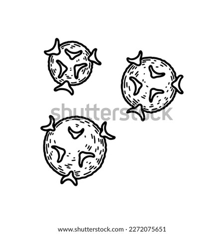 T-helper cells isolated on white background. Hand drawn scientific microbiology vector illustration in sketch style. Adaptive immune system