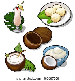 Thematic set food out of coconuts and tropical fruits. Vector illustration.