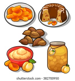 Thematic set of foods from apricots. Vector illustration.