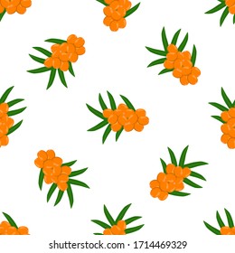 Theme big colored seamless sea buckthorn, bright berry pattern for seal. Berry pattern consisting of beautiful seamless repeat sea buckthorn. Simple colorful pattern berry from seamless sea buckthorn.
