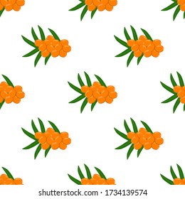 Theme big colored seamless sea buckthorn, bright berry pattern for seal. Berry pattern consisting of beautiful seamless repeat sea buckthorn. Simple colorful pattern berry from seamless sea buckthorn.