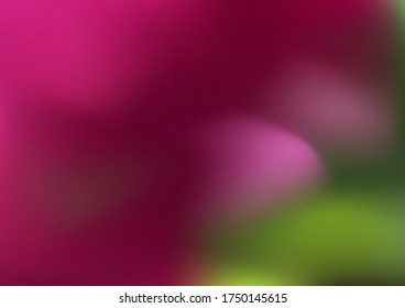 Theme color transitions. Vector template, colorful bright tone colorful background for graphic display design