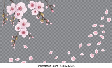 Theme design fabric, invitations, packaging, cards. Festive frame of sakura flowers. Pink on transparent background. Handmade background in the Japanese style.