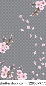 Theme design fabric, invitations, packaging, cards, story. Handmade background in the Japanese style. Flying sakura flowers. Rose on transparent background.