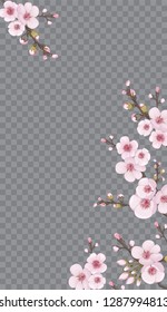 Theme design fabric, invitations, packaging, cards, story. Handmade background in Chinese style. Magenta on white fond. Spring frame vertical of sakura flowers.