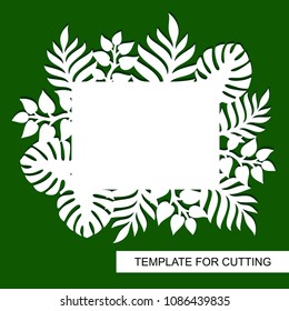 Theme of plants. Silhouettes of tropical palm leaves, monstera, jungle leaves and a white square for text. A template for laser cut, wood carving, paper cutting and printing. Vector illustration.