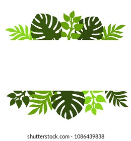 Theme of plants. Silhouettes of tropical palm leaves, monstera, jungle leaves and a white square for text. Vector illustration.