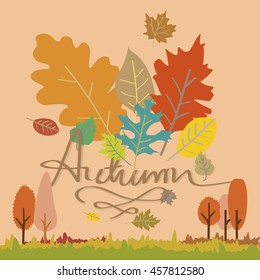 Theme set vector of Autumn Seasons hand writing