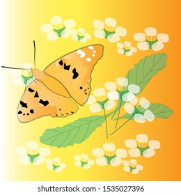 The theme of spring. A beautiful butterfly flutters among the flowers.